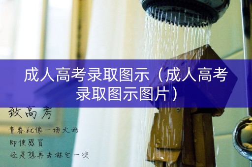 成人高考录取图示（成人高考录取图示图片）