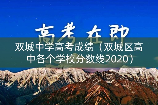 双城中学高考成绩（双城区高中各个学校分数线2020）
