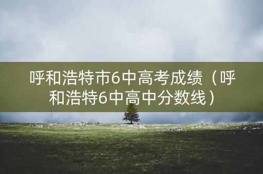 呼和浩特市6中高考成绩(呼和浩特6中高中分数线) 呼和浩特市6中高考成绩(呼和浩特6中高中分数线)