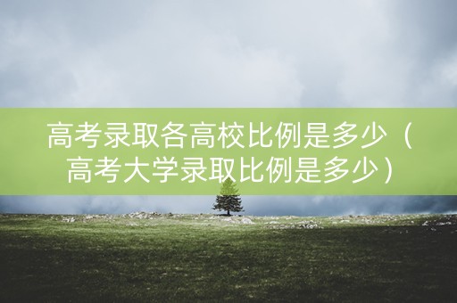 高考录取各高校比例是多少(高考大学录取比例是多少) 高考录取各高校比例是多少(高考大学录取比例是多少)