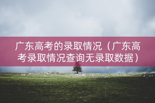 广东高考的录取情况(广东高考录取情况查询无录取数据) 广东高考的录取情况(广东高考录取情况查询无录取数据)