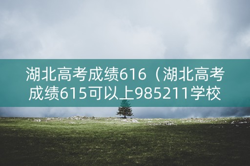 湖北高考成绩616(湖北高考成绩615可以上985211学校吗) 湖北高考成绩616(湖北高考成绩615可以上985211学校吗)