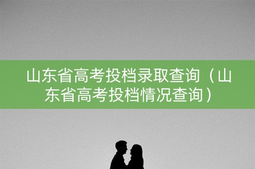 山东省高考投档录取查询（山东省高考投档情况查询）
