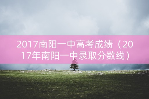 2017南阳一中高考成绩（2017年南阳一中录取分数线）