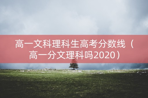 高一文科理科生高考分数线(高一分文理科吗2020) 高一文科理科生高考分数线(高一分文理科吗2020)