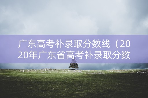 广东高考补录取分数线(2020年广东省高考补录取分数线) 广东高考补录取分数线(2020年广东省高考补录取分数线)