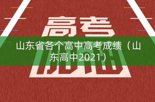 山东省各个高中高考成绩(山东高中2021) 山东省各个高中高考成绩(山东高中2021)