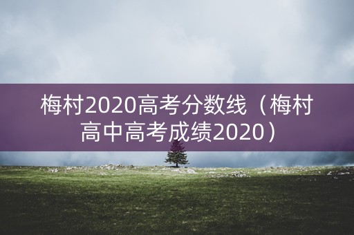 梅村2020高考分数线(梅村高中高考成绩2020) 梅村2020高考分数线(梅村高中高考成绩2020)