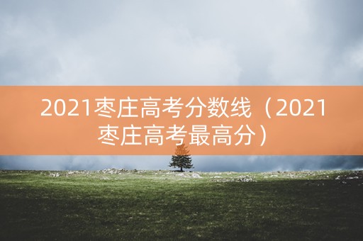 2021枣庄高考分数线(2021枣庄高考最高分) 2021枣庄高考分数线(2021枣庄高考最高分)