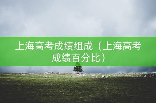 上海高考成绩组成（上海高考成绩百分比）