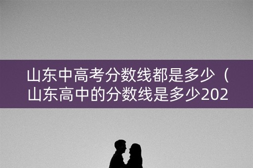 山东中高考分数线都是多少（山东高中的分数线是多少2021）