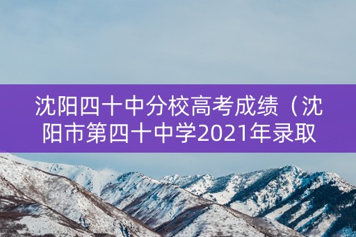 沈阳四十中分校高考成绩(沈阳市第四十中学2021年录取分数线) 沈阳四十中分校高考成绩(沈阳市第四十中学2021年录取分数线)