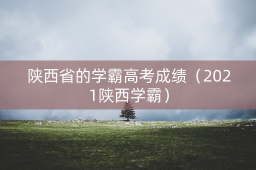 陕西省的学霸高考成绩(2021陕西学霸) 陕西省的学霸高考成绩(2021陕西学霸)