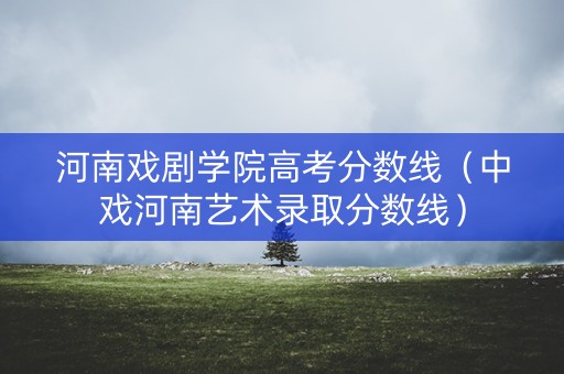 河南戏剧学院高考分数线(中戏河南艺术录取分数线) 河南戏剧学院高考分数线(中戏河南艺术录取分数线)