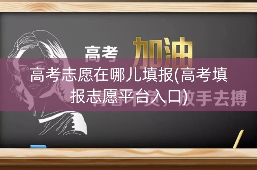 高考志愿在哪儿填报(高考填报志愿平台入口)