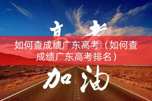 如何查成绩广东高考（如何查成绩广东高考排名）