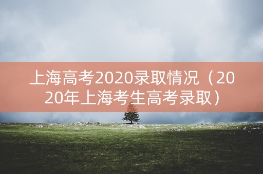 上海高考2020录取情况（2020年上海考生高考录取）