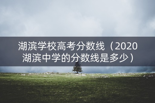 湖滨学校高考分数线（2020湖滨中学的分数线是多少）