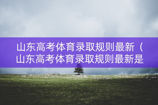 山东高考体育录取规则最新（山东高考体育录取规则最新是什么）