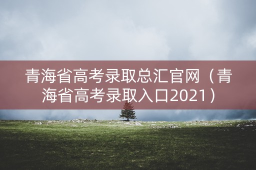 青海省高考录取总汇官网（青海省高考录取入口2021）