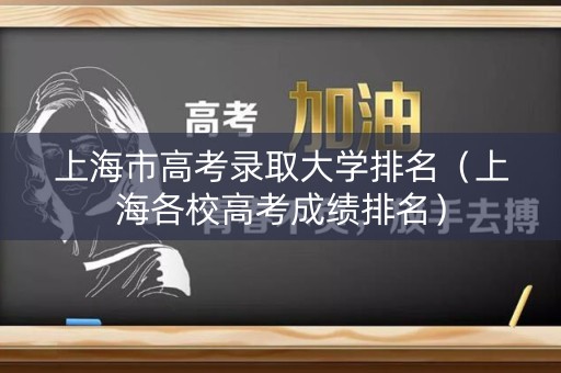 上海市高考录取大学排名（上海各校高考成绩排名）