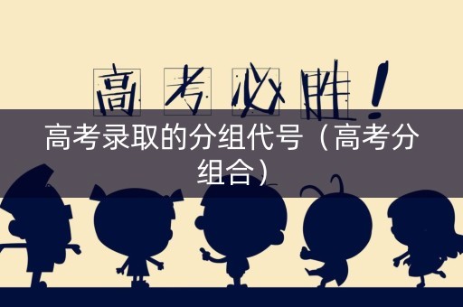 高考录取的分组代号（高考分组合）