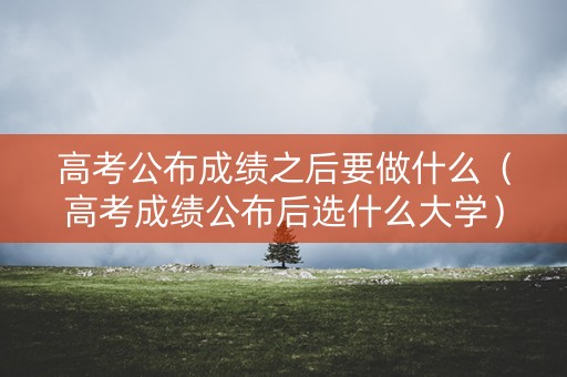 高考公布成绩之后要做什么（高考成绩公布后选什么大学）