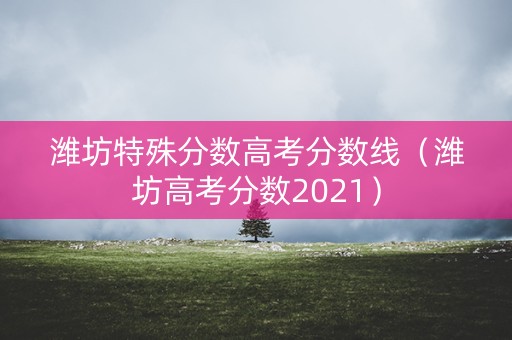 潍坊特殊分数高考分数线（潍坊高考分数2021）