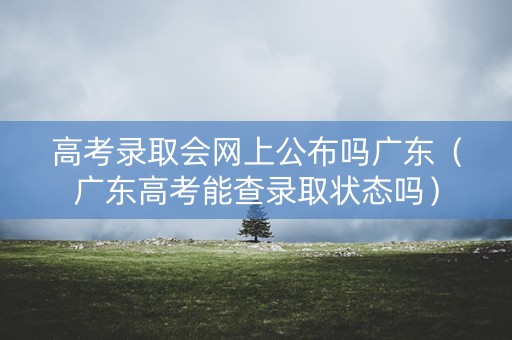 高考录取会网上公布吗广东（广东高考能查录取状态吗）