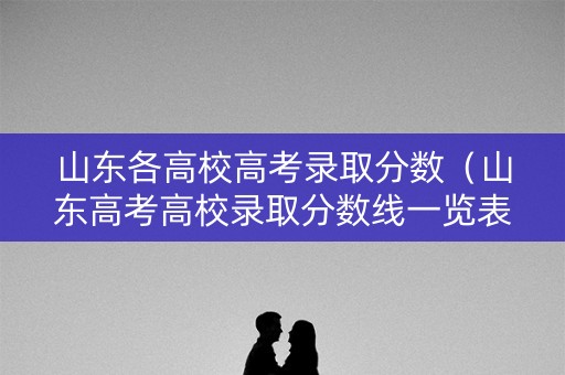 山东各高校高考录取分数（山东高考高校录取分数线一览表）