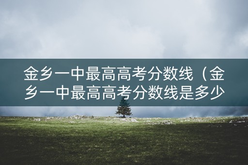 金乡一中最高高考分数线（金乡一中最高高考分数线是多少）