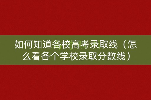 如何知道各校高考录取线（怎么看各个学校录取分数线）