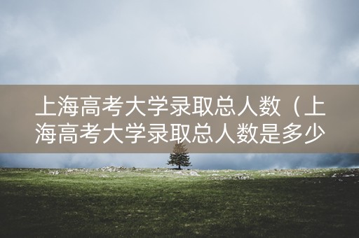 上海高考大学录取总人数（上海高考大学录取总人数是多少）