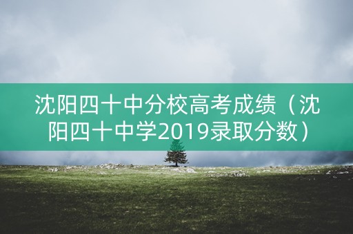 沈阳四十中分校高考成绩（沈阳四十中学2019录取分数）