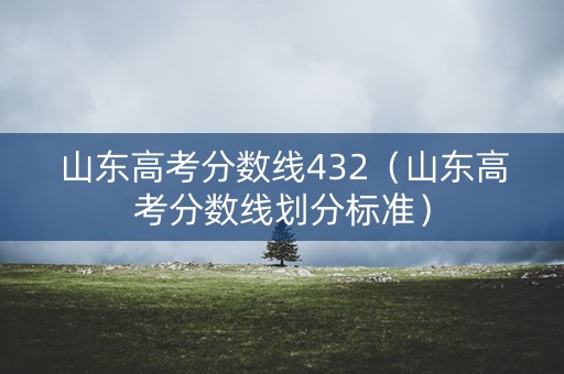 山东高考分数线432（山东高考分数线划分标准）