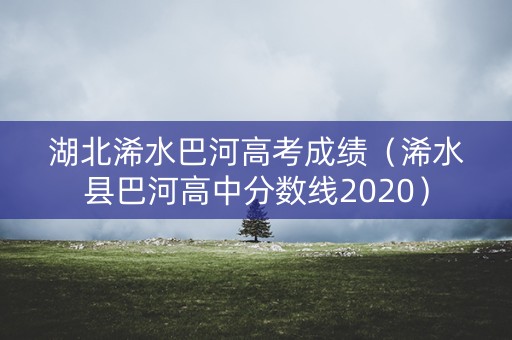 湖北浠水巴河高考成绩（浠水县巴河高中分数线2020）