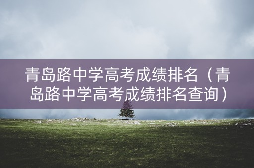 青岛路中学高考成绩排名（青岛路中学高考成绩排名查询）