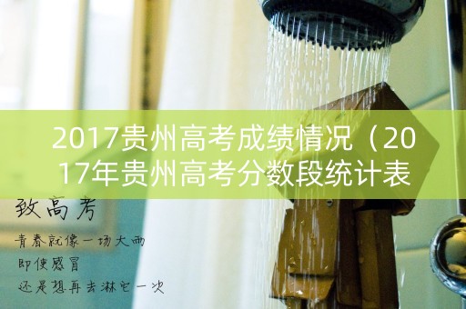 2017贵州高考成绩情况（2017年贵州高考分数段统计表）