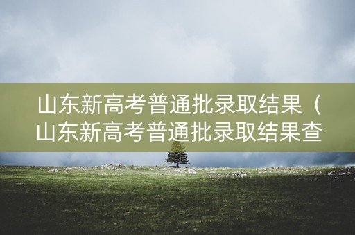 山东新高考普通批录取结果（山东新高考普通批录取结果查询）