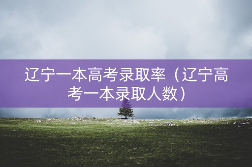 辽宁一本高考录取率（辽宁高考一本录取人数）