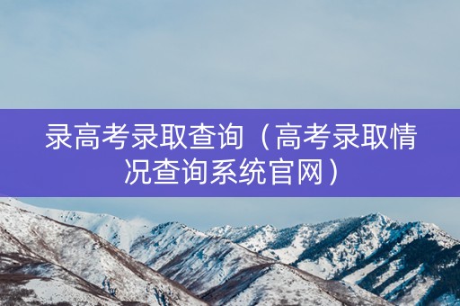 录高考录取查询（高考录取情况查询系统官网）