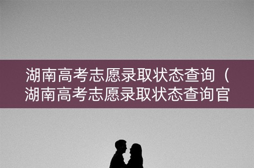 湖南高考志愿录取状态查询（湖南高考志愿录取状态查询官网）