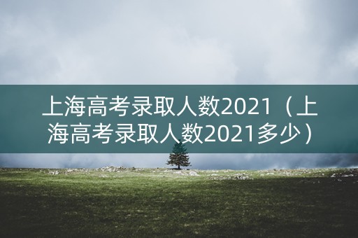 上海高考录取人数2021（上海高考录取人数2021多少）
