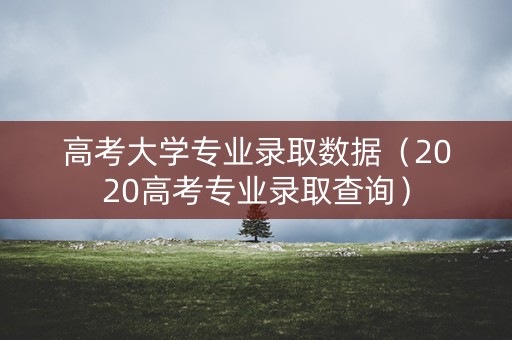 高考大学专业录取数据（2020高考专业录取查询）