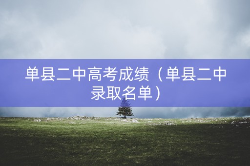 单县二中高考成绩（单县二中录取名单）