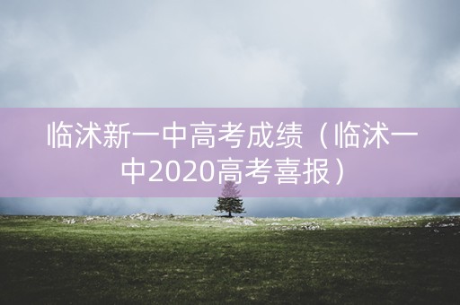 临沭新一中高考成绩（临沭一中2020高考喜报）