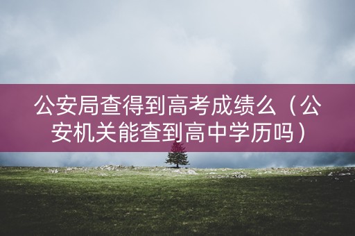 公安局查得到高考成绩么（公安机关能查到高中学历吗）