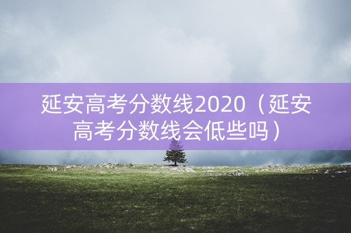 延安高考分数线2020（延安高考分数线会低些吗）