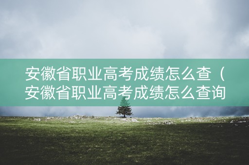 安徽省职业高考成绩怎么查（安徽省职业高考成绩怎么查询）