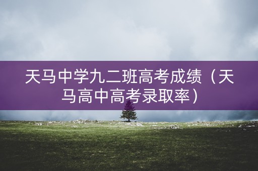 天马中学九二班高考成绩（天马高中高考录取率）